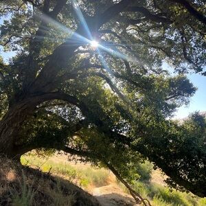 Meet your Posher, Cxrnip